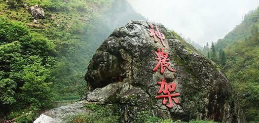 探索阳台打通和客厅一体,该如何解决晾衣服的问题?的知识星球平台,解锁无限知识之门